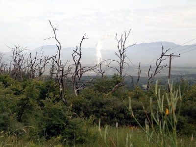 Okolice Paradisii - las odradzający się po pożarze. W tle dymy z kominów fabryk w Megalopoli