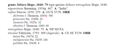 genus Stibara  - type species Stibara tetraspilota Hope, 1840 in CPC