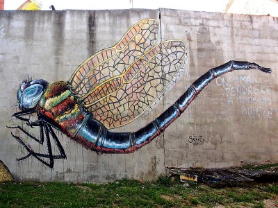 Na zakończenie tego odcinka- akcent entomologiczny z miasteczka Krapina - mural z ważką