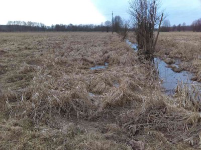 Łąki 1, 2, 3, 4 to wilgotne łąki nad Zalewem Szczecińskim, oddzielone od Zalewu wałem przeciwpowodziowym