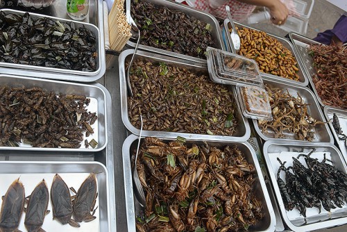 Większość turystów styka się z owadami w Tajlandii tylko w takiej postaci...