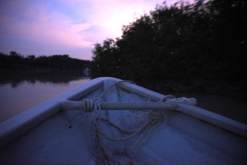 łódką bujało, było ciemno, więc ciężko było zrobić lepsze zdj ;/