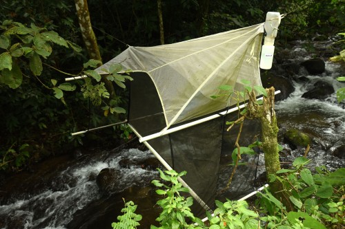 Urządzenie służące do odłowu owadów żyjących w środowisku wodnym.