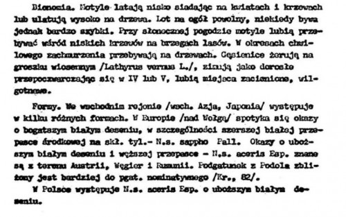 Przypomnijmy co pisał o sappho Krzywicki - jak widać odmiana N.s. aceris występowała nie tylko w Polsce. No i tylko groszki są podawane jako roślina żywicielska.