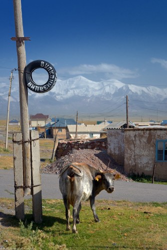 Wulkanizacja ;) Sary-Tasz, Kirgistan.