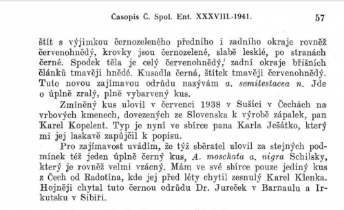 Heyrovsky 1941 semitestacea.png