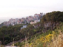 LT - Bejrut, Liban - lasy sosnowe na obrzeżach stolicy.
