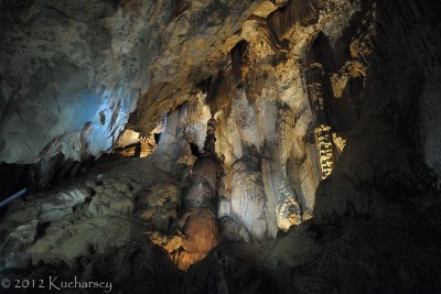 Jaskinie w Mulu pełne są ciekawych form, ale również bezkręgowców.