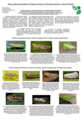 Poster Aphids maly2.jpg