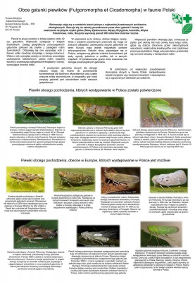 Poster Aphids maly.jpg