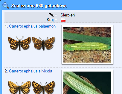 Lepidoptera 2.png
