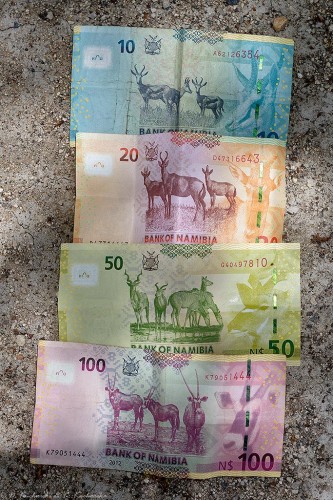 Namibijskie dolary mogą służyć jako ściągawka na safari ;)