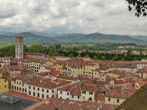 Lucca-widok na Piazza dell'Anfiteatro z Torre Guinigi.JPG