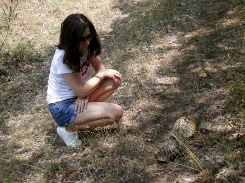Iza i żółwie, które przymierzają się do robienia małych żółwi. :-)