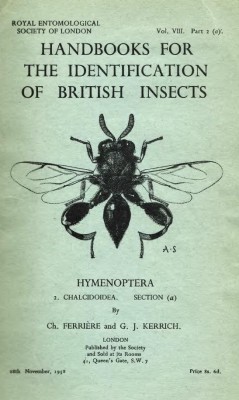 Hymenoptera.JPG