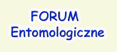 Forum Entomologiczne